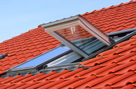Fairlie roof window